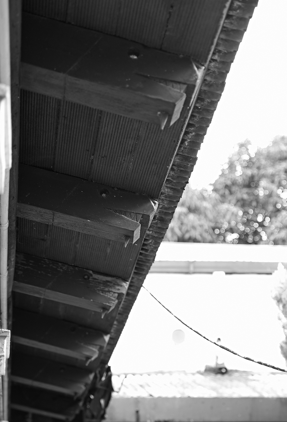 main bldg dragon beams