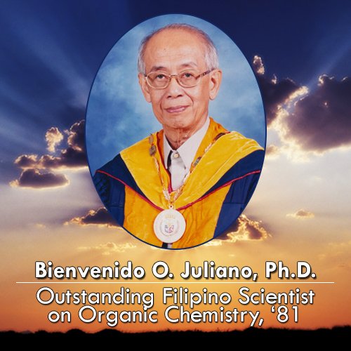Bienvenido O. Juliano, Ph.D., Outstanding Filipino Scientist on Organic Chemistry, 81 